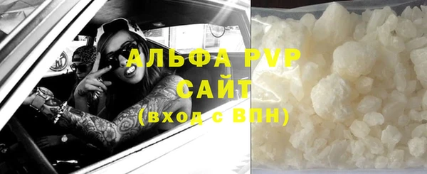 СК Алексин