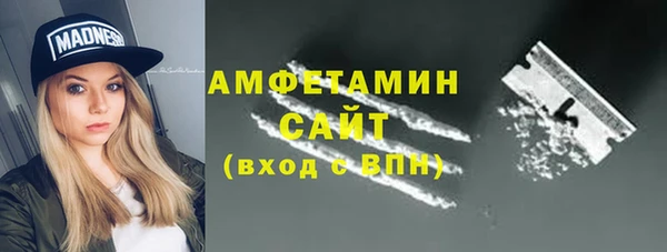 СК Алексин