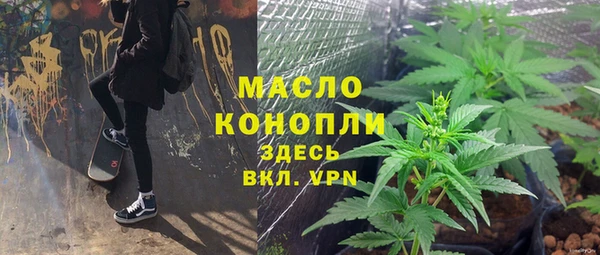 СК Алексин
