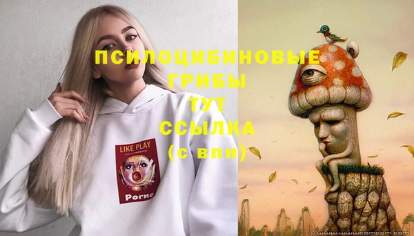 СК Алексин