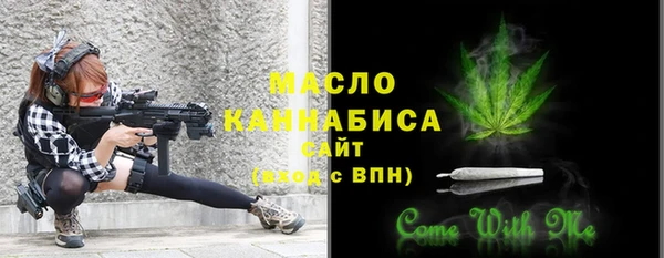 СК Алексин