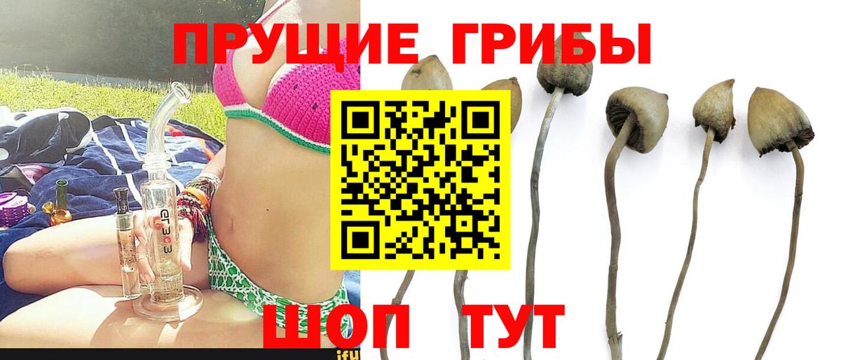 Галлюциногенные грибы мицелий  Вход с VPN  Псилоцибиновые грибы Magic Shrooms  Когалым 