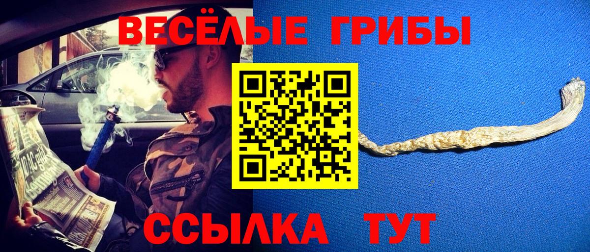 Галлюциногенные грибы Psilocybine cubensis Когалым